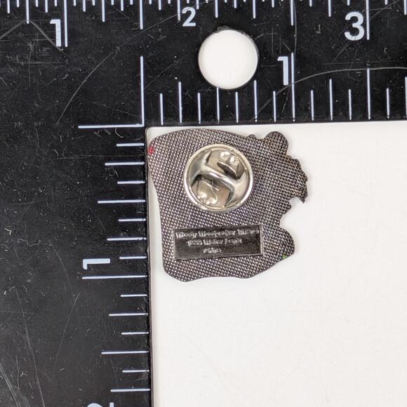 Woody Woodpecker Universal Studios Islands of Adventure Pin 1999 Map Design - Picture 4 of 6